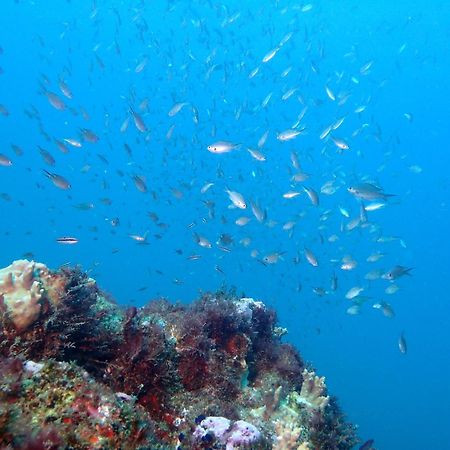 Kaza Tropikal Ξενοδοχείο Cidade do Maio Εξωτερικό φωτογραφία